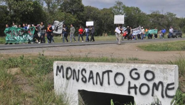 Monsanto en Córdoba: "Es necesaria una consulta popular"